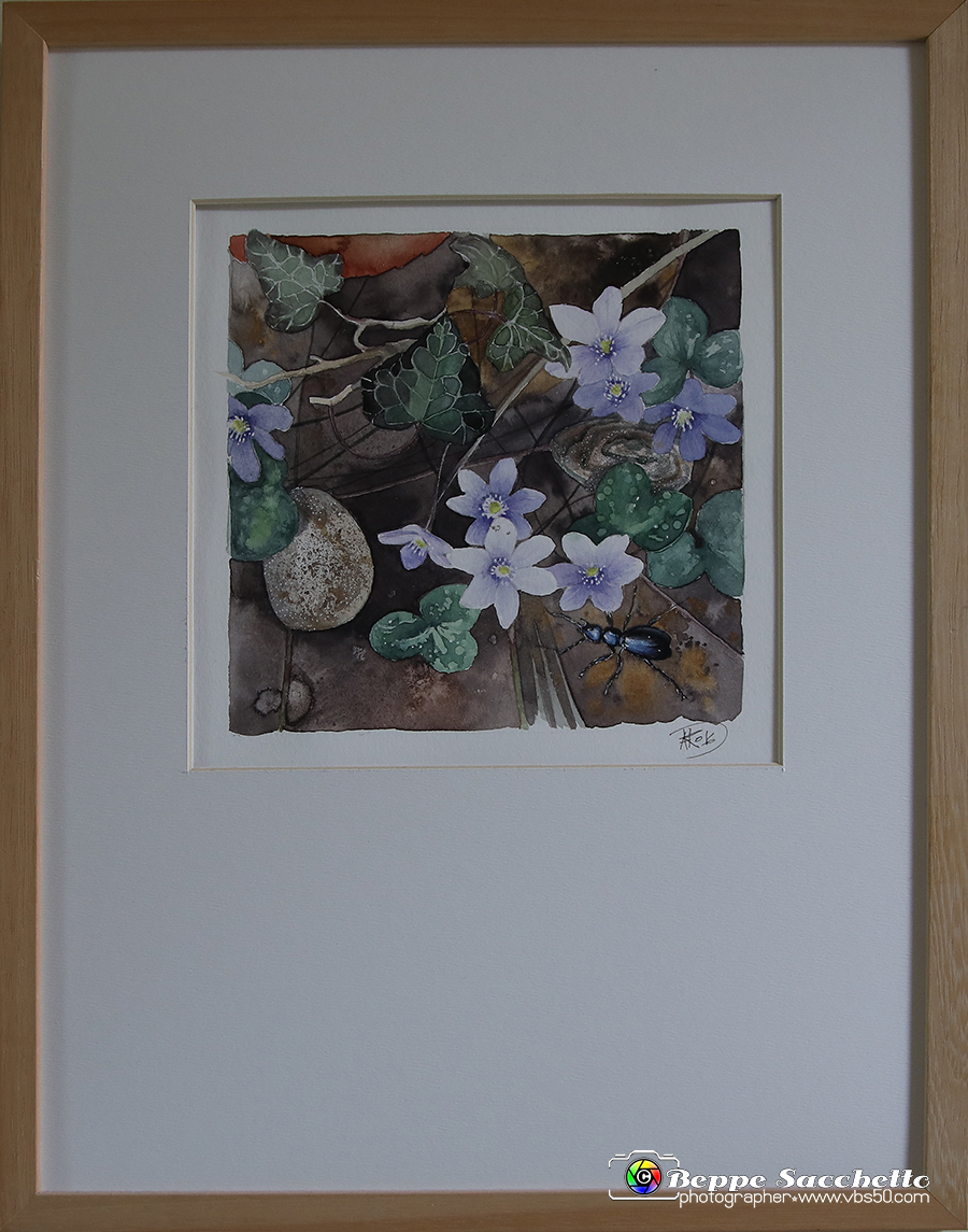 VBS_1749 - Castello di Miradolo - Mostra Oltre il giardino l'Abbecedario di paolo Pejrone.jpg